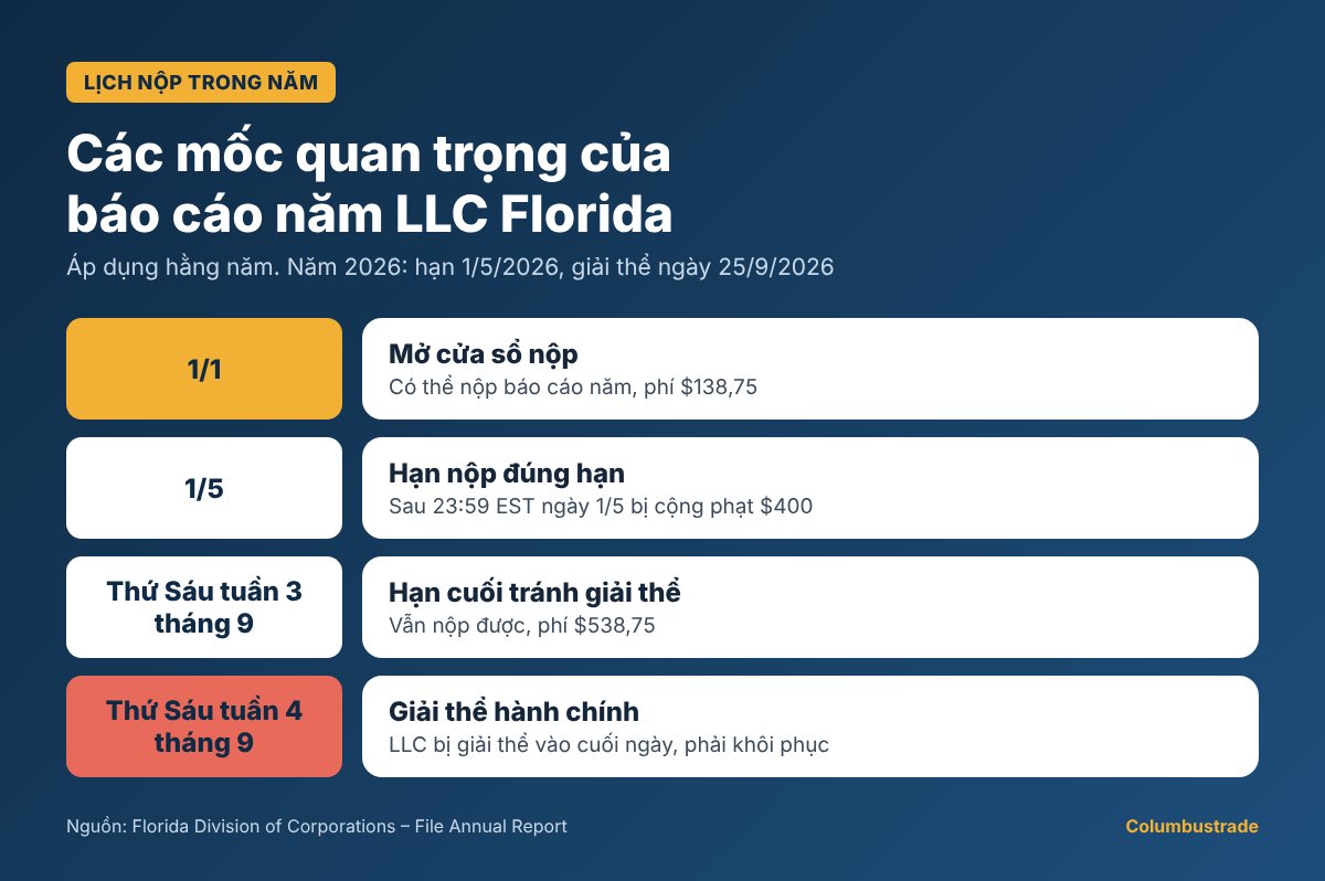 Dòng thời gian báo cáo năm LLC Florida: mở 1/1, hạn 1/5, hạn tránh giải thể thứ Sáu tuần 3 tháng 9, giải thể thứ Sáu tuần 4 tháng 9