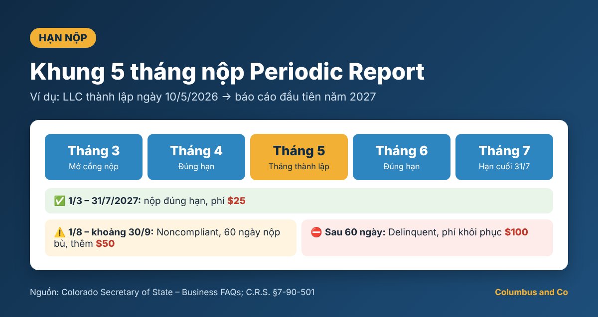 Khung 5 tháng nộp Periodic Report Colorado, ví dụ LLC thành lập tháng 5