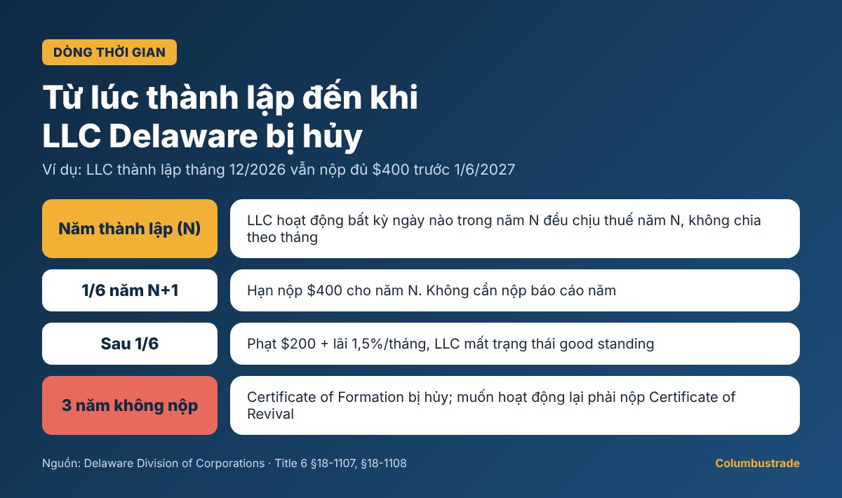 Dòng thời gian thuế năm LLC Delaware từ năm thành lập, hạn 1/6, phạt trễ hạn đến khi bị hủy sau 3 năm
